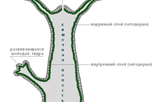 Что такое кракен маркет торкнет